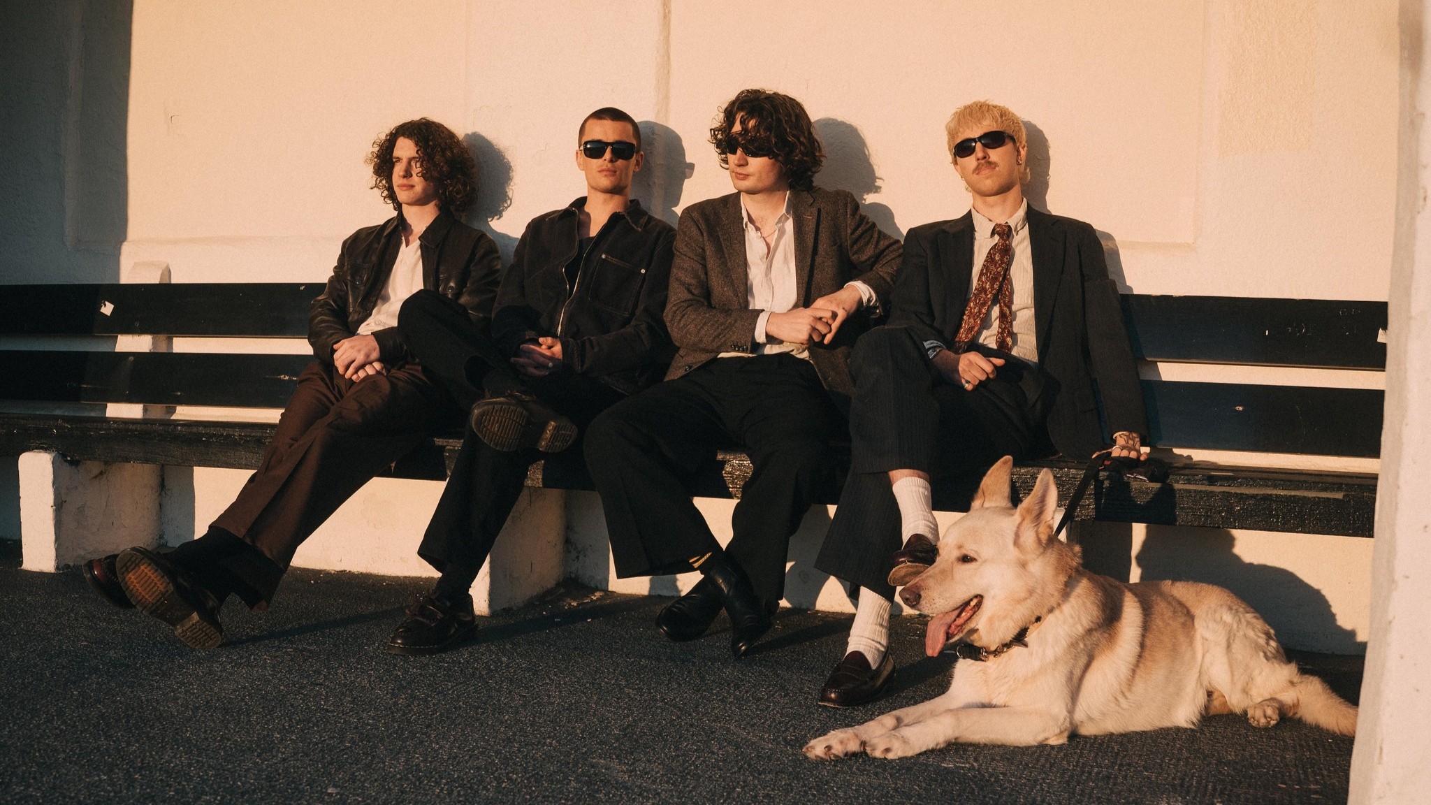 Royston Club Album Show